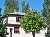 Straßburger Störche