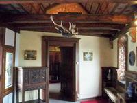 Die Glücksbringerin