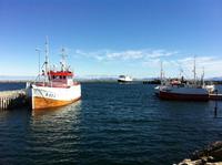 Andenes