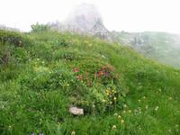 auf der Schynigen Platte
