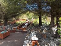 hinter dem Haus geht die Steinsammlung weiter