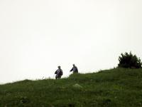 im Alpengarten