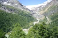 Fahrtimpressionen Bernina-Express