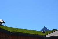 339 Lofotenrundfahrt