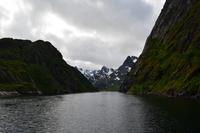 250 Trollfjord
