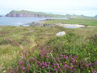 Blick vom Clougher-Aussichtspunkt