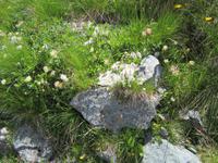 Wanderung vom Riffelberg zur Riffelalp