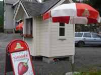 Valldal-Zentrum des Erdbeeranbau