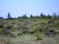 Ausflug zur Insel Öland