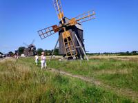 immer wieder Mühlen