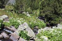 Flusslandschaft