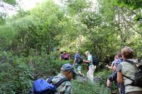 Wanderung durch einen gut bewachsenen Wald im Nationalpark von Andorra