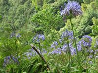 kleine Levadawanderun