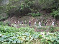 Halbtagswanderung entlang der Levadas