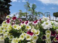 Altstadtpromenade von Funchal