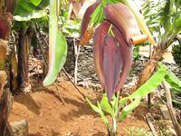 Weinkellerei Babeirtos