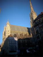 Vor dem Stephansdom