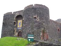 Carrickvergus