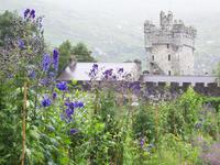 Schloß Glenveagh