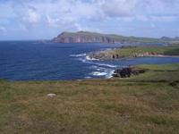 Wiesen und Meer