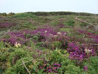 Pointe du Raz