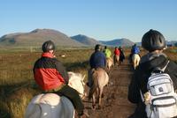 abendlicher Reitausflug mit Islandpferden