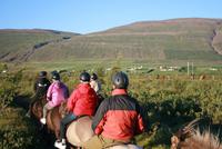 abendlicher Reitausflug mit Islandpferden