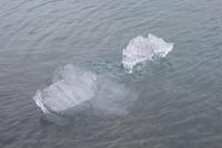 in der Gletscherlagune Jökulsárlón