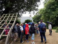 GB_JERS9_12801_115029