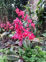 GB_JERS9_12802_101148