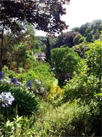 GB_JERS9_12802_115748