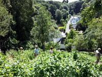 GB_JERS9_12802_120158