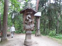 Hexenwald in Schwarzort