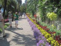 Blumenrabatte auf Isola Madre