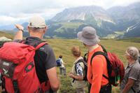 Blick zu den Afferer und Villnösser Geislerspitzen