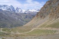 Wanderung auf dem Rothorn