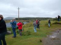 Fotos über Connemaras Reize