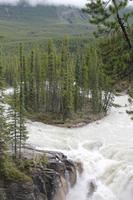 Sunwapta-Wasserfall