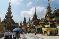 in der Shwedagon-Pagode