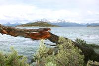 An der Bucht Ensenada auf Feuerland