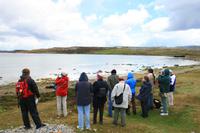 Natur-Wanderung auf Falkland
