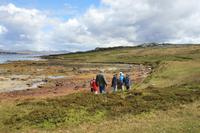 Natur-Wanderung auf Falkland