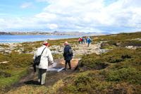 Natur-Wanderung auf Falkland