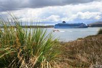 Natur-Wanderung auf Falkland