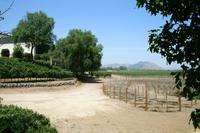 Im Weingut Concha y Toro