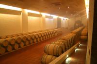 Im Weingut Concha y Toro