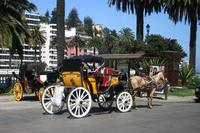 Kutsche in Vina del Mar