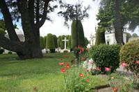 Der schöne Friedhof von Punta Arenas