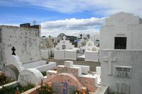 Der schöne Friedhof von Punta Arenas