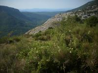 Weg zum Grand Canyon